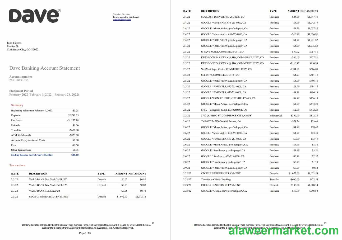 USA Dave bank account statement 5 pages